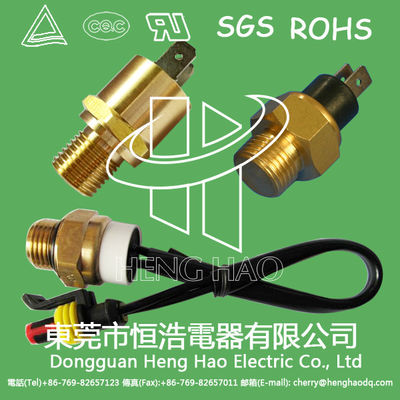 Commutatore bimetallico 250V 10A 16A 0-250C del sensore di temperatura del termostato della testa del filo del rame di M16 G4/1 M10 M20